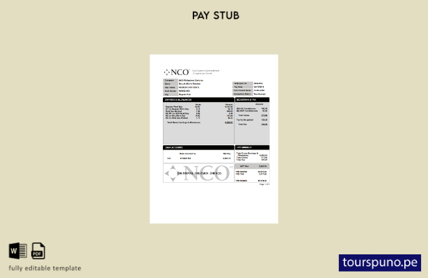 plantilla lista para imprimir NCO PayStub